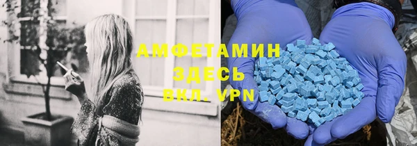 ПСИЛОЦИБИНОВЫЕ ГРИБЫ Баксан
