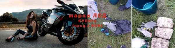 ПСИЛОЦИБИНОВЫЕ ГРИБЫ Баксан